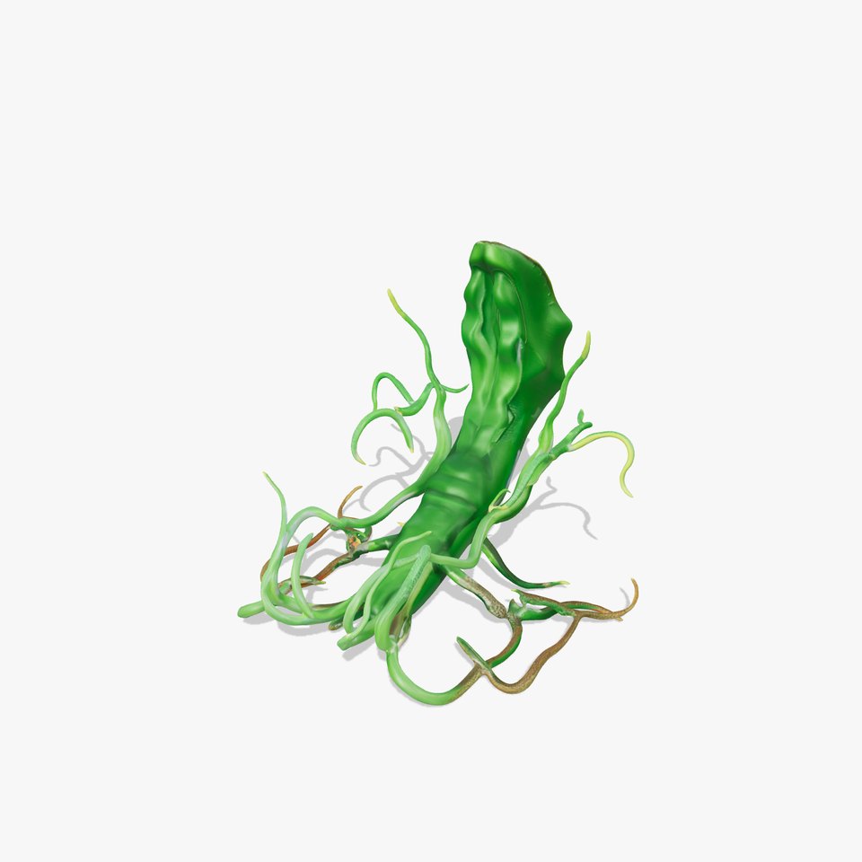 Alien Flora Green Curve model pack